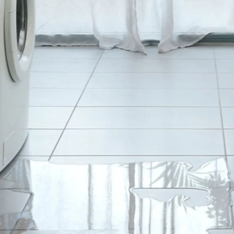 Appliance Leak Cleanup in Socorro, TX